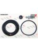 Valeo FTE Brake Caliper Repair Kit
