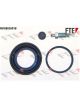 Valeo FTE Brake Caliper Repair Kit