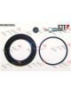 Valeo FTE Brake Caliper Repair Kit