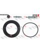 Valeo FTE Brake Caliper Repair Kit