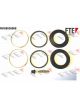 Valeo FTE Brake Caliper Repair Kit