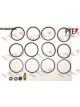 Valeo FTE Brake Caliper Repair Kit