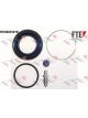 Valeo FTE Brake Caliper Repair Kit