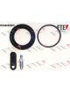 Valeo FTE Brake Caliper Repair Kit