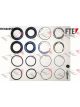 Valeo FTE Brake Caliper Repair Kit