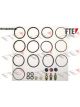 Valeo FTE Brake Caliper Repair Kit