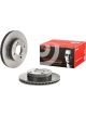 Brembo Disc Brake Rotor (Single) 231mm