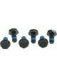 Sachs Flywheel Bolt Kit