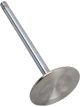Brodix 2.180 Intake Valve 11/32 Diameter 5.540 OAL For BBC