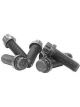 Coleman Machine Bolt Flywheel 7/16-20 x 1in 6 Pcs.