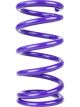 Draco Racing Conventional Spring Front 9.500in Length 5.0