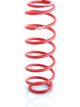 Eibach Extreme Travel Coilover Spring 2.5in ID x 10in
