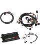 Holley Dominator EFI Kit For GM LS