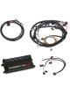 Holley Dominator EFI Kit For Ford