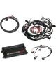 Holley Dominator EFI Kit For Ford with COP