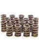 Isky Cams 1.530 Endurance Plus Dual Valve Springs Pack of 16