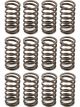 Isky Cams Inner Valve Spring Set .855 OD Pack of 12