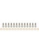 Keizer 10in Beadlock Bolt Kit Titanium