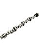 Lunati Hydraulic Roller Camshaft For Pontiac V8 RF-V262HR12