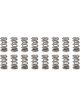 Manley 1.540 Dual Valve Springs