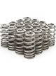 PAC Racing 1.345 Valve Springs Ovate Beehive Pack of 16