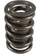 PAC Racing 1.550 Dual Valve Spring