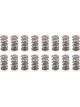 PAC Racing 1.430 Dual Valve Spring Set Pack of 16