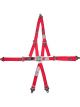 RJS Safety Junior Dragster Latch and Link Harness 2in P/D