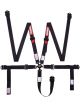 Racequip Harness 5 Point Cam 2in P/D Lap Black SFI 16.1