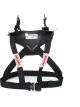 Simpson Hybrid Sport Restraint Large w/ Sliding Tether PA FIA