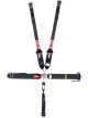 Simpson 5-PT Harness System Steel Ratchet Left Side