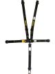 Schroth Racing 5pt Harness LL2 PU with 2in Shoulder SFI 16.1