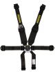 Schroth Racing Harness 6pt Profi 2 Pull -Up Lap RH Hans Shoulder