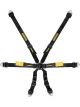 Schroth Racing 6pt Harness Enduro Black 2in Shoulder & Lap