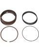 Total Seal TS3 036850 0575 164 Gapless Piston Ring