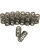Trick Flow 1.055 Beehive Valve Spring Set