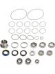 Winters Overhaul Kit V8 Q/C