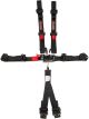 Zamp 6 Point Latch and Link Harness Black 2in Shoulder SFI 16.1