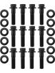 Aeroflow M8 x 1.25mm Header Bolts 1.181