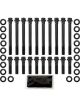 Aeroflow Head Bolt Kit 12 Point Head For 253-304-308 Holden V8