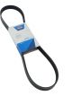 Optibelt V-Ribbed Belt