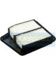 Transgold Air Filter