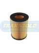 Transgold Air Filter