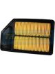 Transgold Air Filter