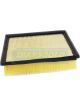 Transgold Air Filter