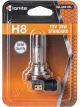 Ignite H8 Halogen Globe 12V 35W