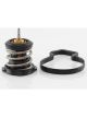 Tridon Thermostat