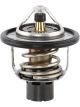 Tridon Thermostat
