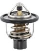 Tridon Thermostat