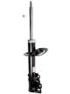 Roadsafe Shock Absorber
